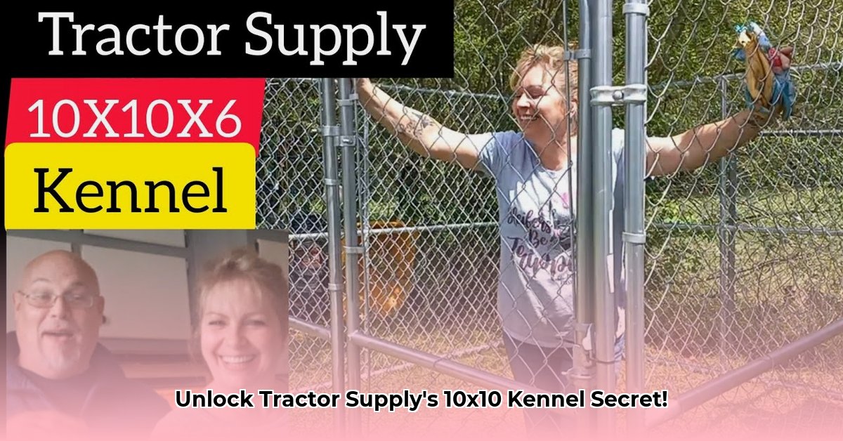 tractor-supply-10x10-kennel